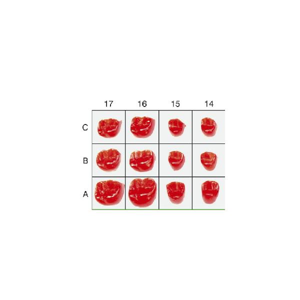 Náhled obrázku artiklu