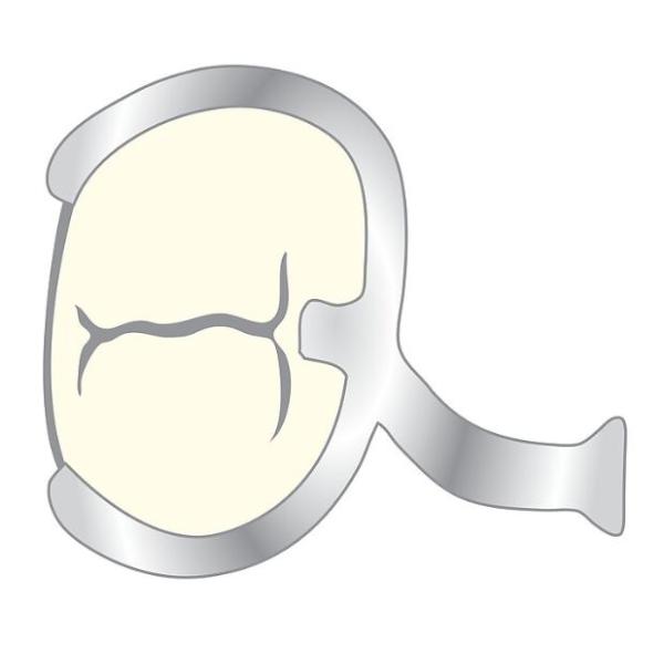 9947515_1.jpg