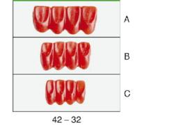 Náhled obrázku artiklu