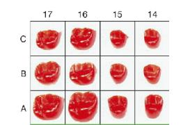 Náhled obrázku artiklu