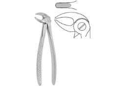 Náhled obrázku artiklu