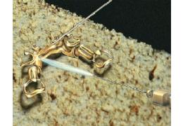 Náhled obrázku artiklu