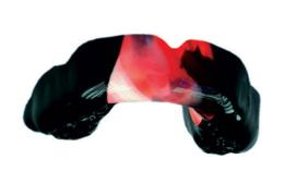 Náhled obrázku artiklu