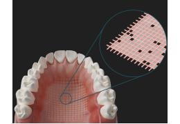 Náhled obrázku artiklu