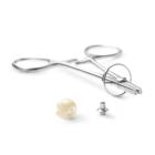 Náhled obrázku artiklu